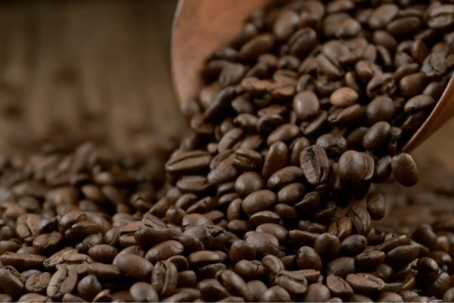 Fermentación de Café con SafCoffee™: La Nueva Frontera del Sabor